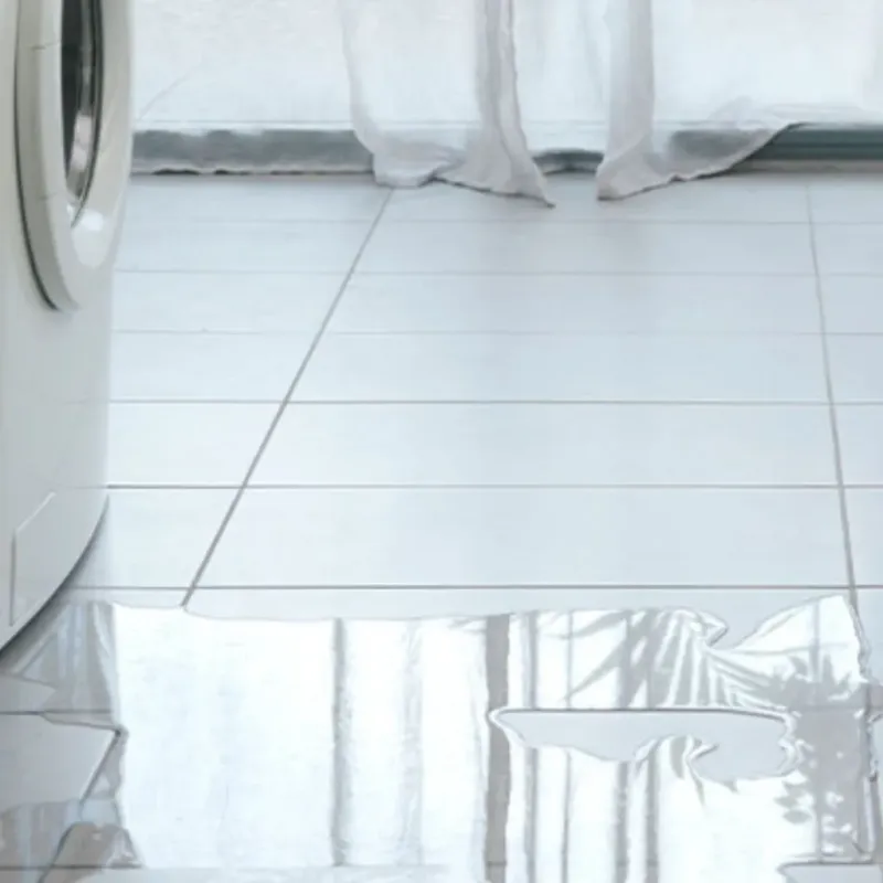 Appliance Leak Cleanup in Marshall, WI