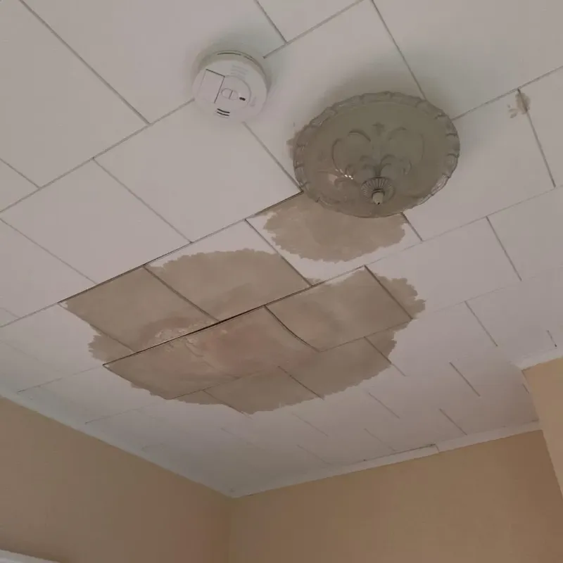 Ceiling Water Damage Repair in Marshall, WI