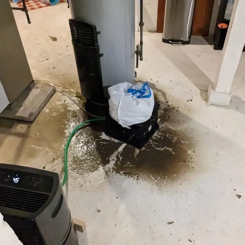Sewage Backup Cleanup Service in Marshall, WI